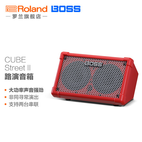 Roland Professional Guitar Speaker