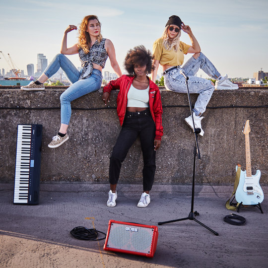 Roland Professional Guitar Speaker