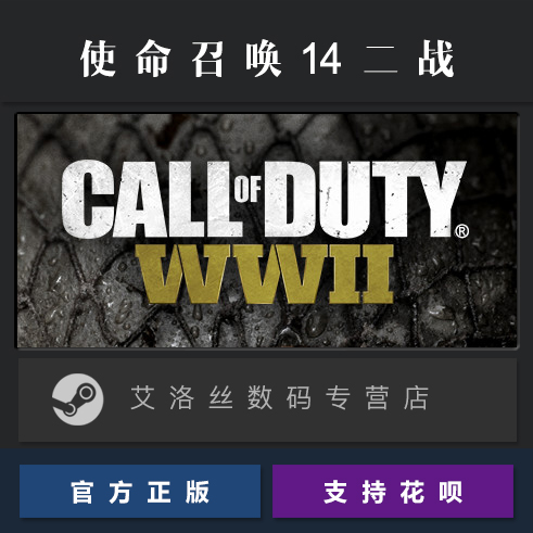 PC中文正版 steam平台国区联机游戏使命召唤14使命召唤二战 Call of Duty WWII全新成品账号 COD14-图0