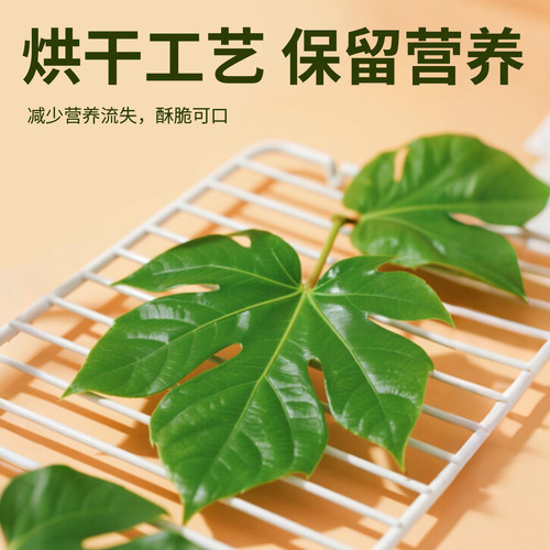 兔兔窝总店 草先生绿纤脆护肠木瓜叶兔子仓鼠豚鼠荷兰猪龙猫零食 - 图2