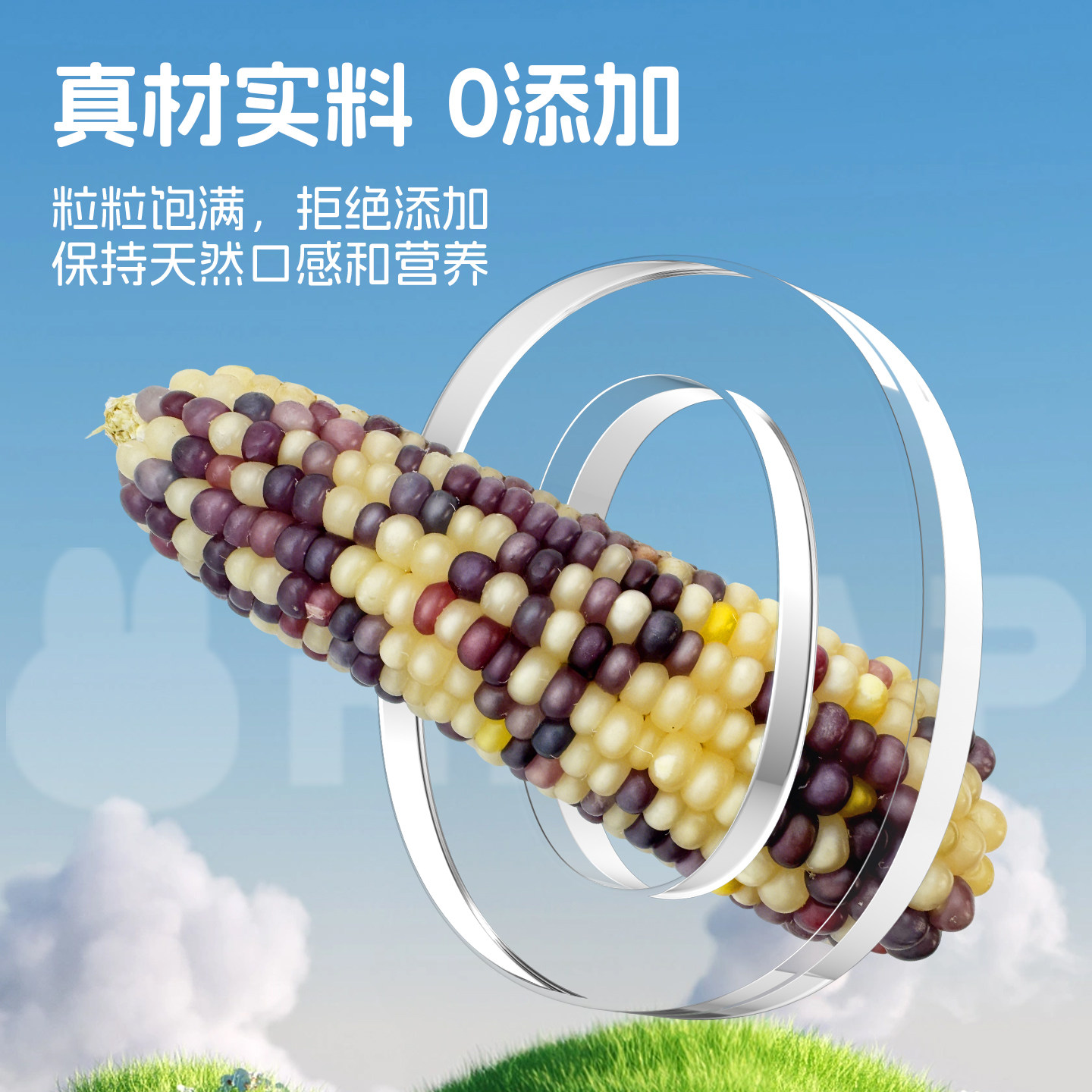 香港滨田迷你多彩小玉米豚鼠荷兰猪磨牙零食玉米磨牙棒,淘宝优惠券,粉丝福利购,淘宝优惠卷