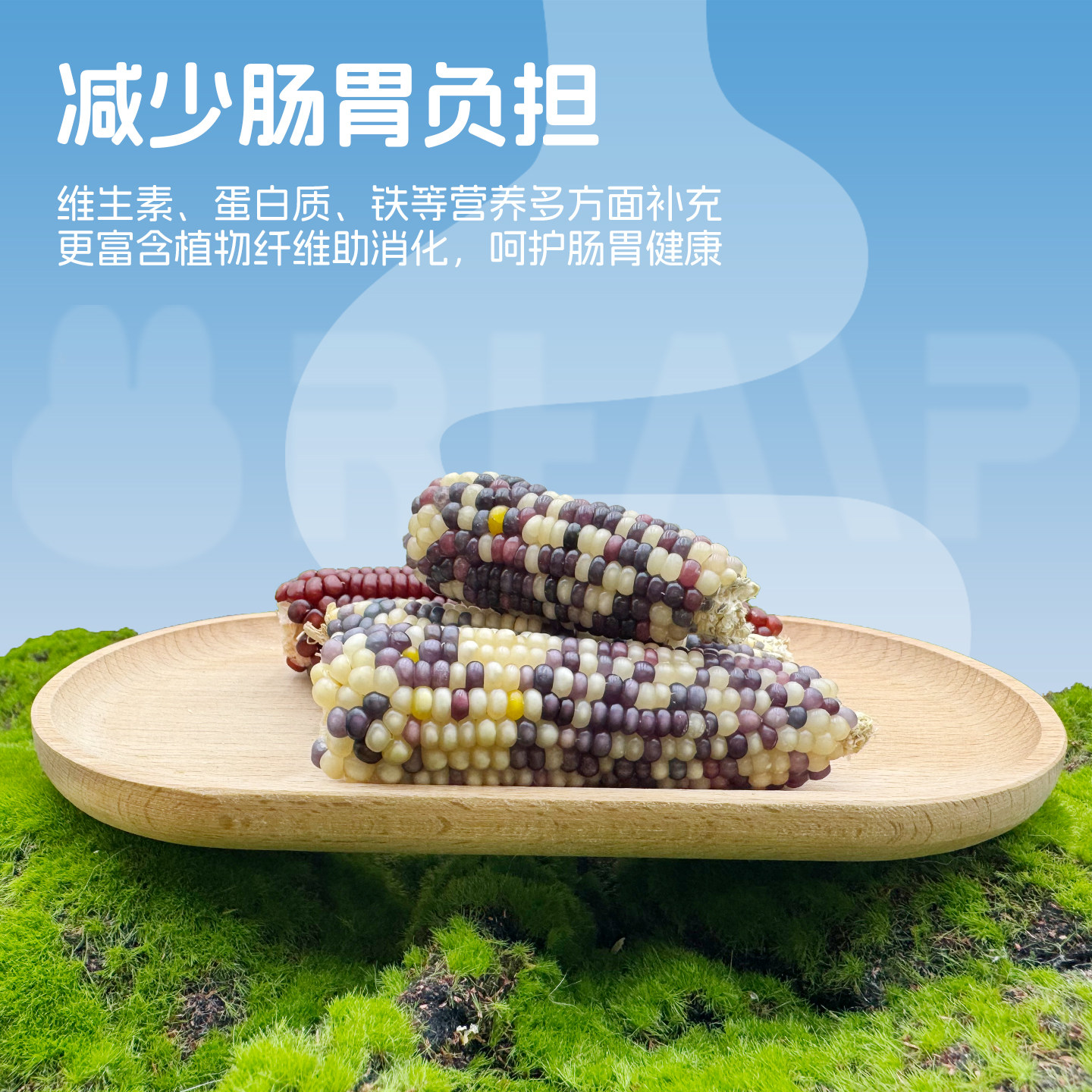 香港滨田迷你多彩小玉米豚鼠荷兰猪磨牙零食玉米磨牙棒,淘宝优惠券,粉丝福利购,淘宝优惠卷