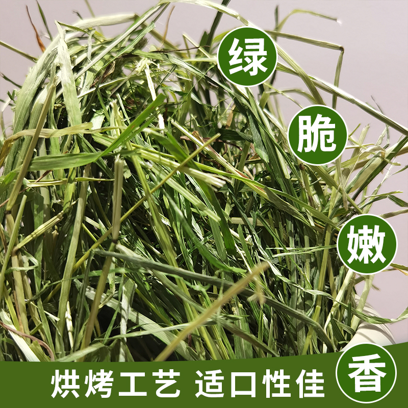 5A级烘烤提摩西草北提500g兔子草粮荷兰猪豚牧草饲料龙猫干草包邮 - 图1