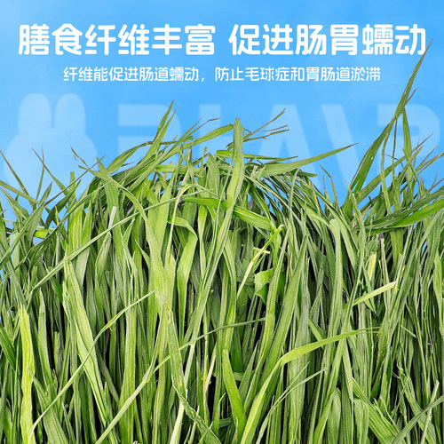 兔兔窝总店 精品烘干小麦草干草牧草 兔子龙猫荷兰猪500g全国包邮 - 图0