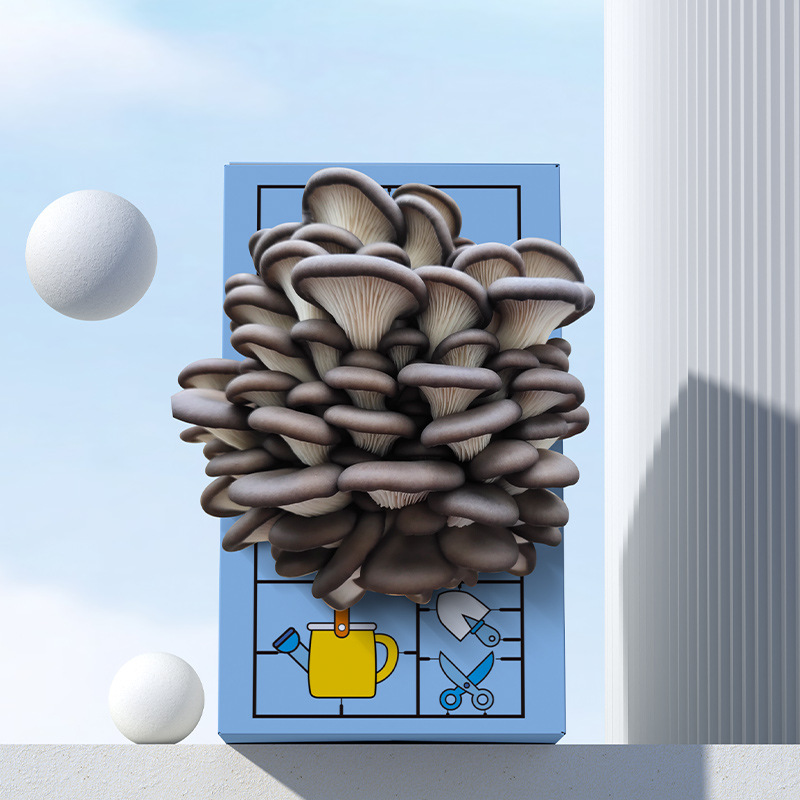 DIY蘑菇种植菌包蘑菇盒家庭室内种植蘑菇科学小实验儿童益智玩具 - 图1