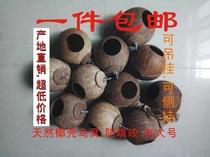 Coconut Shell Large Coconut Shell Shoe Grass Knitted Handicraft Parrot Pet Hamster Nest Bird Coveting Basin