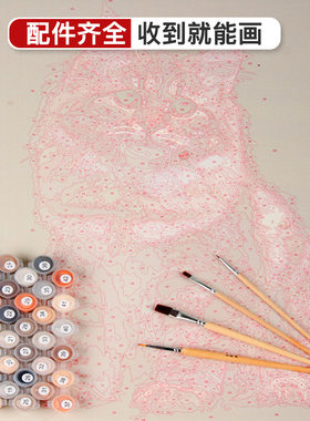 子儒画艺数字油画猫咪照片定制