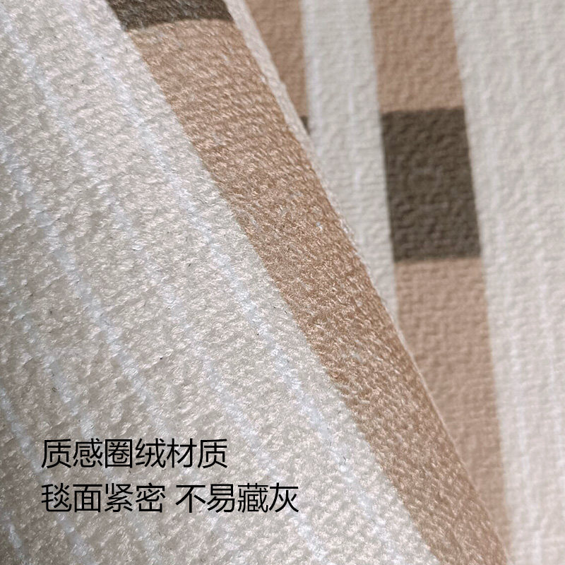 [林依轮直播间]客厅侘寂风地毯轻奢简约防水防油污沙发茶几垫