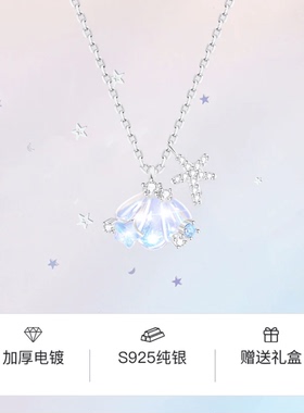 一贝子贝壳项链纯银轻奢小众女生2024新款银饰礼物送女友送闺蜜