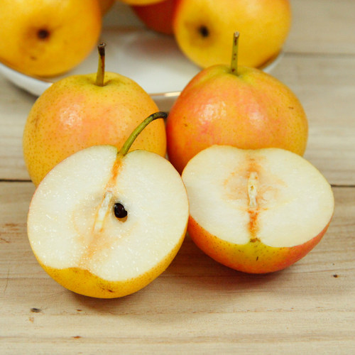 鞍山南果梨5斤顺丰包邮东北海城南国梨子特产酒香梨新鲜冻梨水果 - 图0