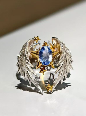 2025新款翅膀守护着星星精美