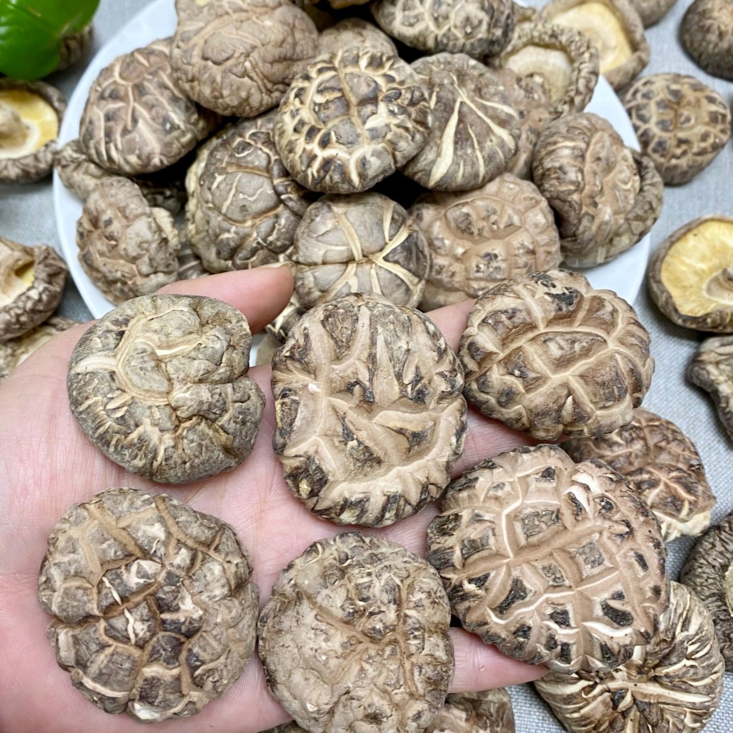 椴木大花菇 厚肉养生干香菇干货500g 冬菇蘑菇饨鸡汤煲汤年货送礼,淘宝优惠券,粉丝福利购,淘宝优惠卷