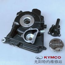 Light Yang Original Factory Rowing 250300 CT250 CT300 Right crankcase cover Decorative Lid Water Pump Cover Spacer