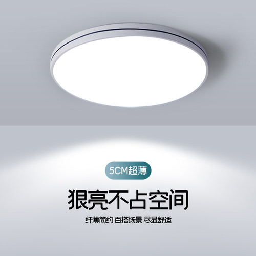 主卧室灯2026新款LED吸顶灯现代简约全光谱护眼儿童房间中山灯具 - 图0
