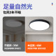 2026 New Simple Modern Atmospheric Ceiling Lamp
