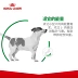 Royal Royal PR27 Chó nhỏ dành cho người lớn Thức ăn cho chó 8kg Gấu bông Xiong Bomei Bulldog Pet General Dog Food - Chó Staples thức ăn chó smartheart Chó Staples