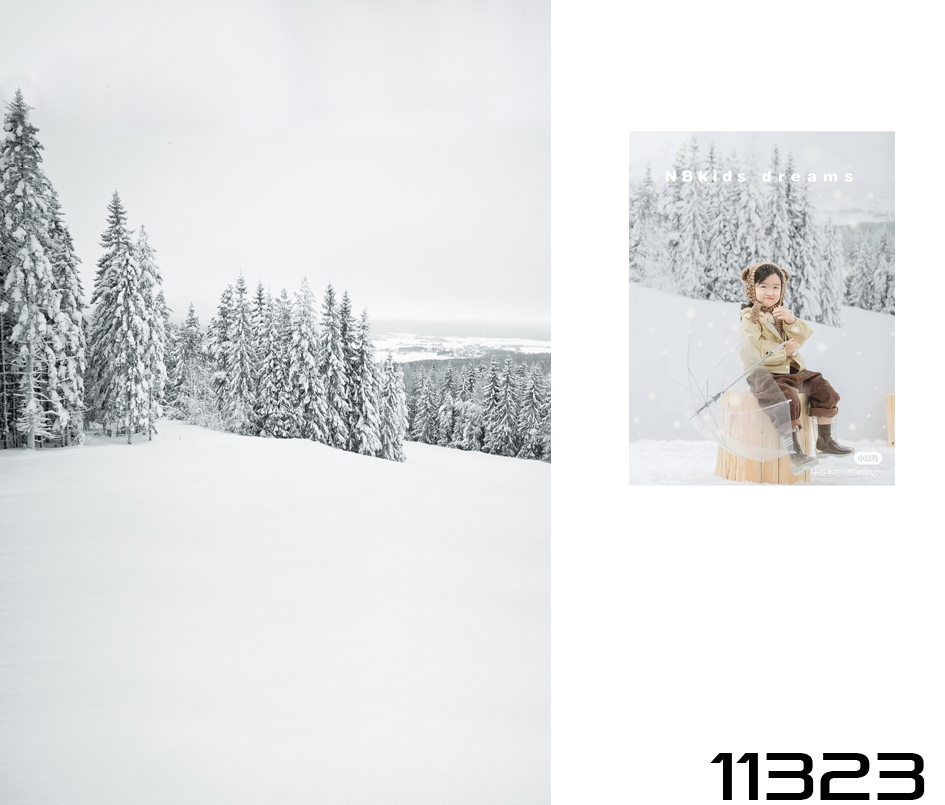2023影楼儿童摄影背景纸雪山街道森林冬季婚纱写真拍照拍摄背景布-图0