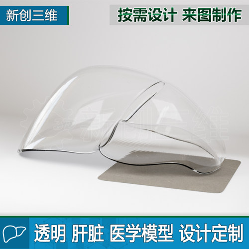 肝脏3D打印医疗透明医学教学教具大脑脑部肺部胃部心脏肾脏定制 - 图0