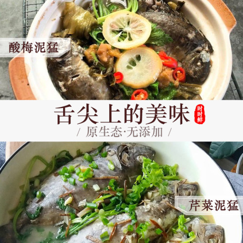 泥猛鱼新鲜秋叶鱼潮汕海鲜水产冷冻娘艾鱼挨篮子臭肚鱼海鱼苦提鱼 - 图2