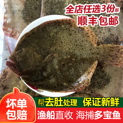 多宝鱼鲜活海鲜水产新鲜石斑鱼比目鱼花岗鱼海鱼每条450-550g - 图0