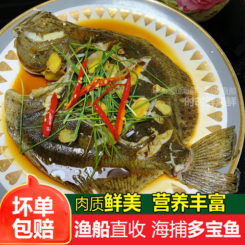 多宝鱼鲜活海鲜水产新鲜石斑鱼比目鱼花岗鱼海鱼每条450-550g - 图1