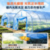 Plastic greenhouse film