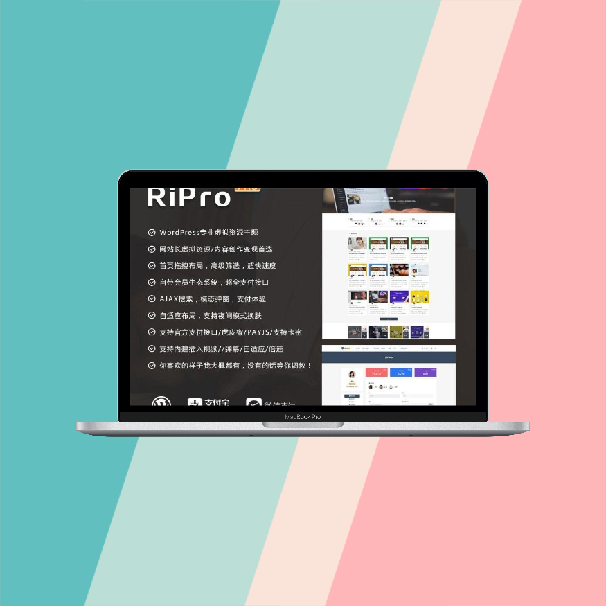 ripro9.0主题模版Wordpress知识付费日主题资源网站下载修复版-图2