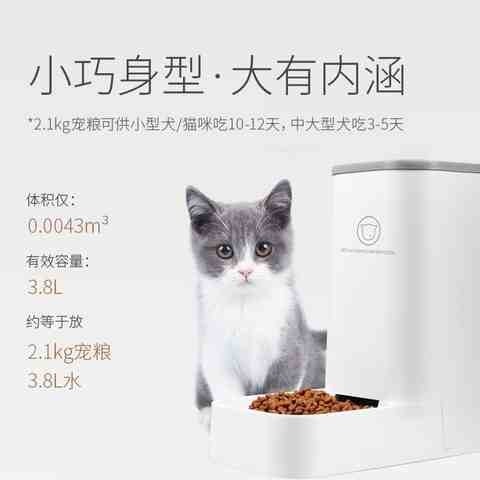 宠物自动喂食器猫咪自动投食神器猫粮狗粮猫盆喂水二合一饮水机碗-图0