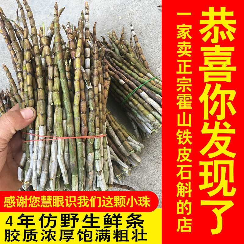 新鲜铁皮石斛野生种源正宗霍山250g 郑意滋补养生石斛/枫斗