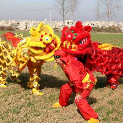 Новый танцевальный реквизит Lion, весь набор двойных южных танцевальных танцев Lion Dance Lion Wake Up Lion Dance Lion Dance Clothing O ..