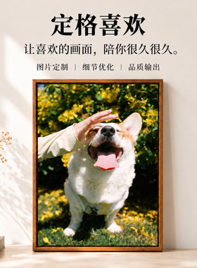 二狗姑娘定制微喷装饰画
