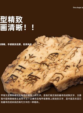 摆摊盒装甲骨文考古模型精致刻画环保树脂科教男孩儿童益智玩M-25