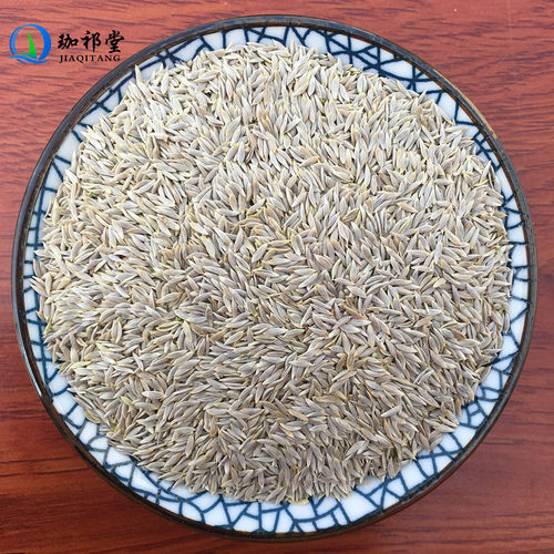 生菜籽中药材新货生菜子白巨胜子干货白巨胜籽白苣胜莴苣子可打粉 - 图2