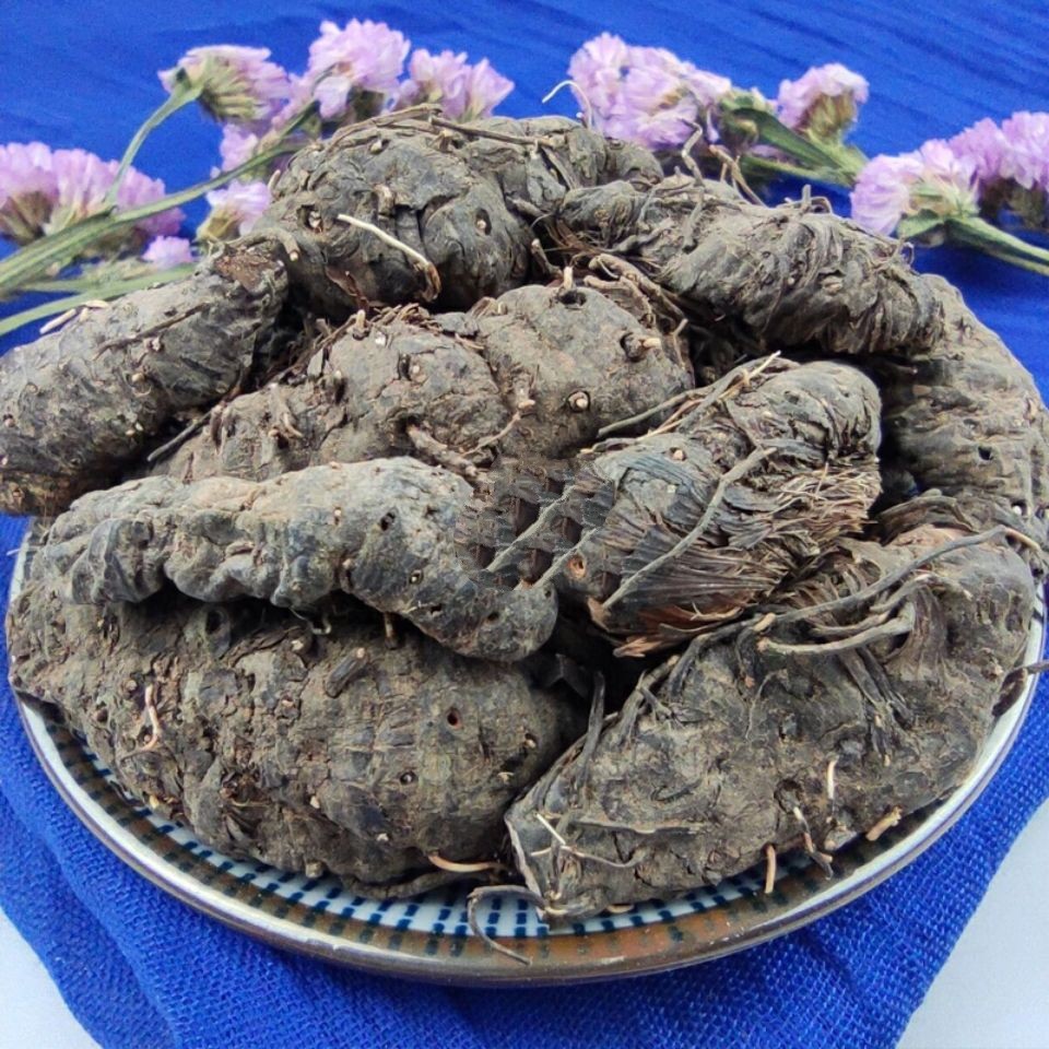 云南野生中药材草血竭 老腰弓 地蜂子 一口血 拳参 包邮