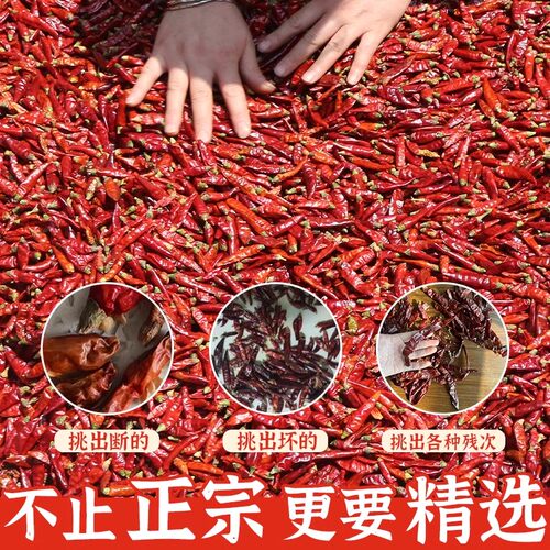 四川特香干辣椒二荆条七星椒小米辣朝天椒魔鬼椒灯笼海椒农家干货 - 图0