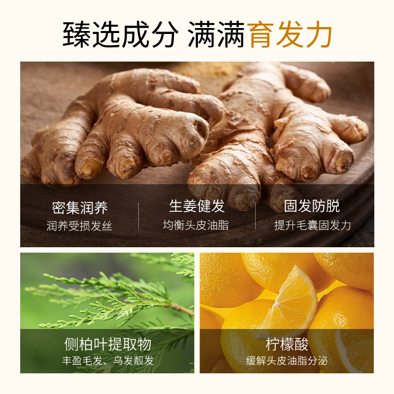 范里奇奇防脱生姜洗发液改善毛躁 范里奇奇洗发水