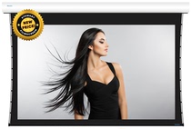 American Stewart filmscreen telescopic screen system Luxus