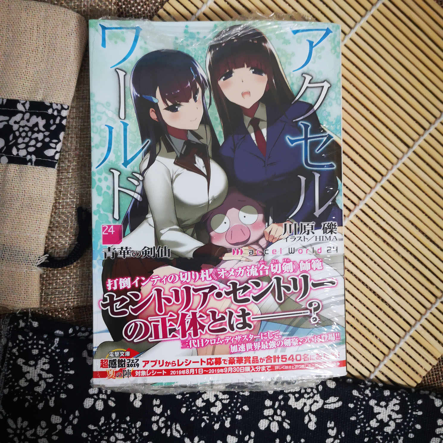 加速世界 新人首单立减十元 21年9月 淘宝海外