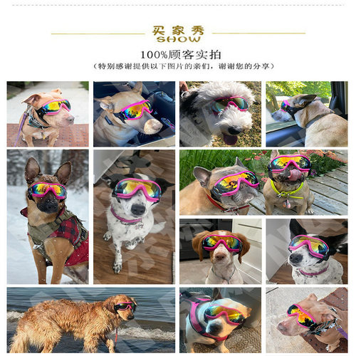 NAMSAN宠物眼镜狗狗墨镜防水防紫外线金毛萨摩中大型犬狗狗太阳镜 - 图1