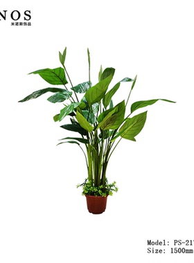 假绿植万年青仿真植物客厅室内落地花大盆栽景干花装饰树摆件假花
