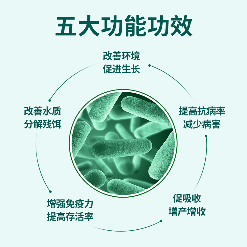 枯草芽孢杆菌粉em菌种降解氨氮亚盐硫化氢调水肥水养殖益生菌 - 图1