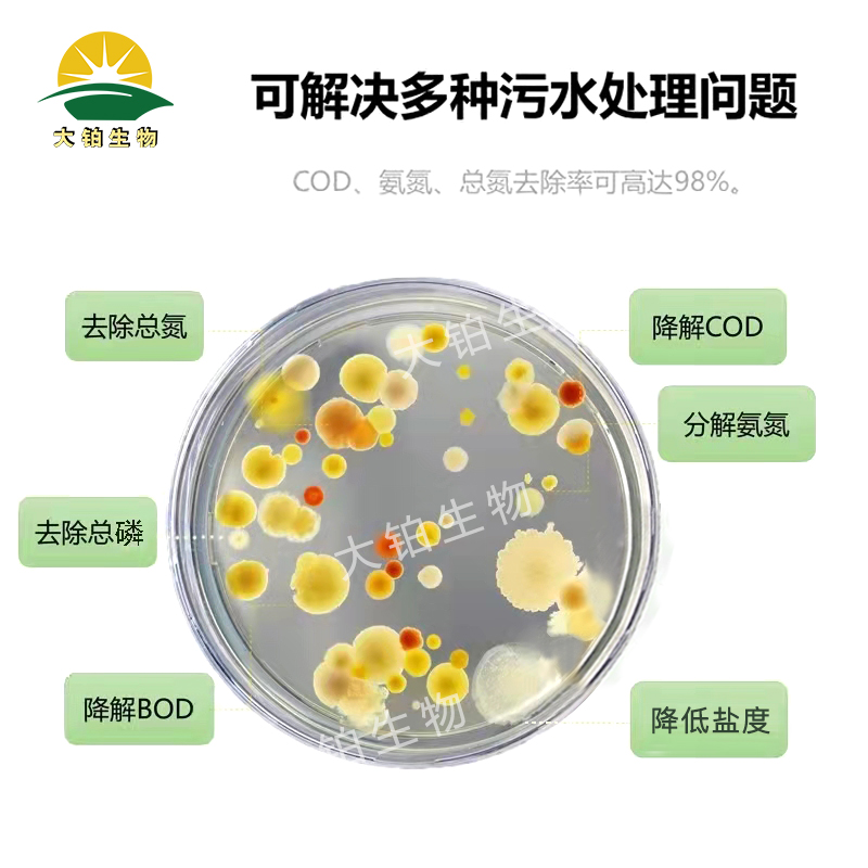 耐盐菌剂污水处理好氧缺氧池工业污水专用菌种降COD氨氮去除率高 - 图2