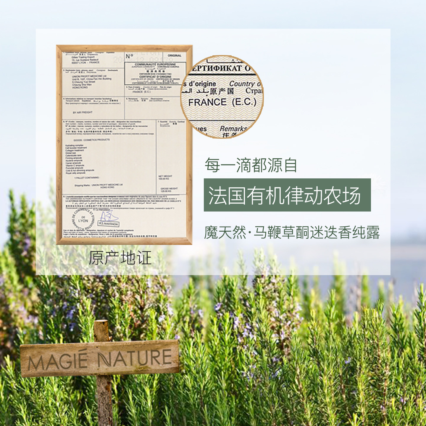 魔天然 马鞭草酮迷迭香马迷纯露法国进口 收缩毛孔去闭口粉刺,淘宝优惠券,粉丝福利购,淘宝优惠卷