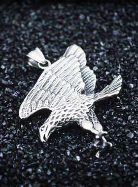 雄鹰大鹏展翅钛钢朋克风吊坠项链