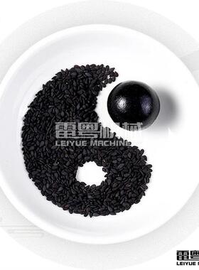 鸡山 蜜楂球制丸机蜂蜜内金丸制丸机 3克/ZW90D6克/9克大丸机