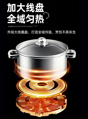标准一单元IGT电磁炉桌户外露营