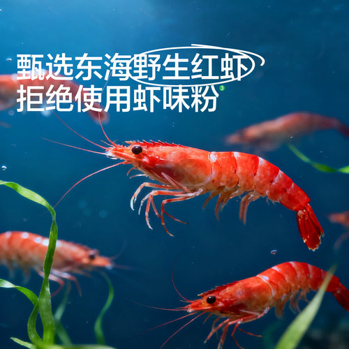 宝宝馋了益生元高钙真虾条儿童零食无添加香精送一岁婴儿宝宝食谱 - 图0