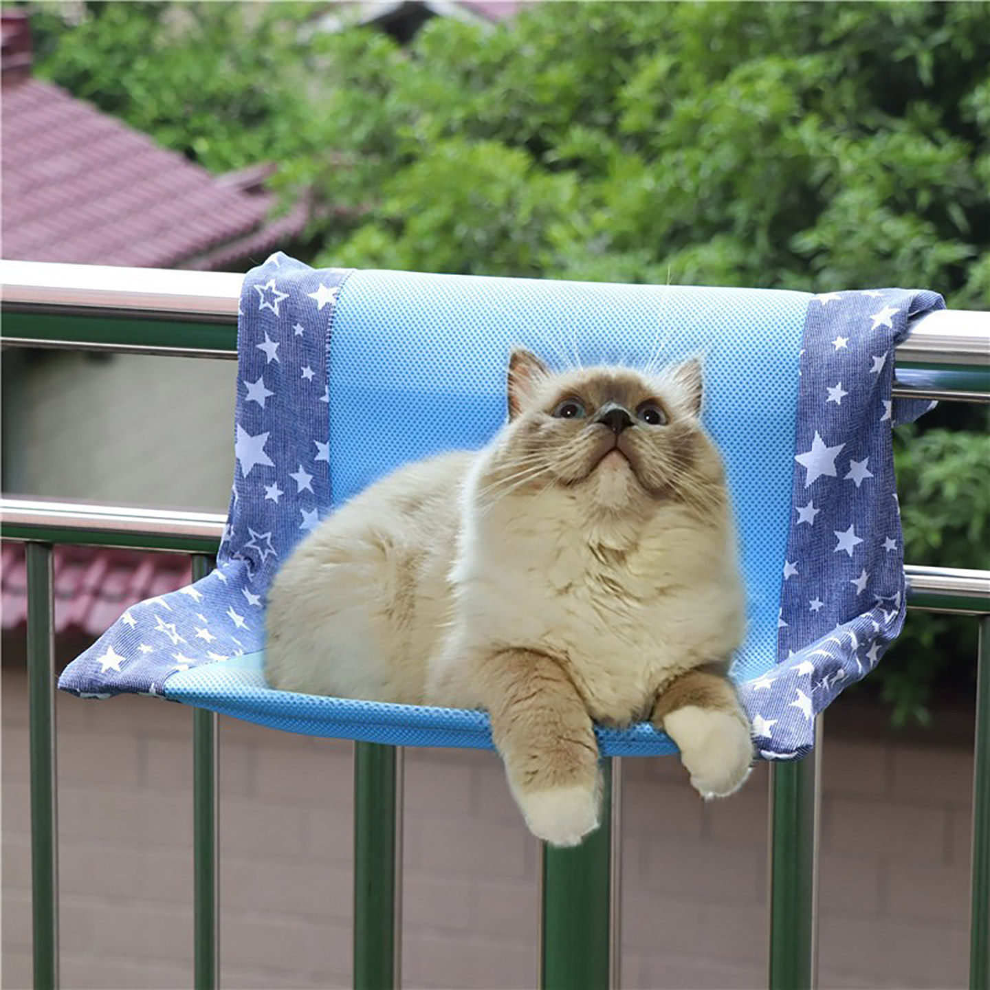 猫咪吊床吊篮猫笼挂钩挂窝挂式阳台悬挂式窗台晒太阳笼子小猫秋千,淘宝优惠券,粉丝福利购,淘宝优惠卷