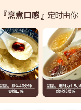 美规110V电器养生壶多功能煎药办公室煮黑茶花茶壶工厂批发电水壶