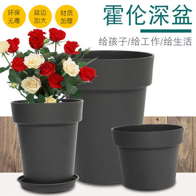 菜园兄弟花盆家庭园艺塑料圆形长条多肉球根盆月季绿萝霍伦盆 虎窝淘